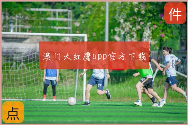 澳门大红鹰app官方下载