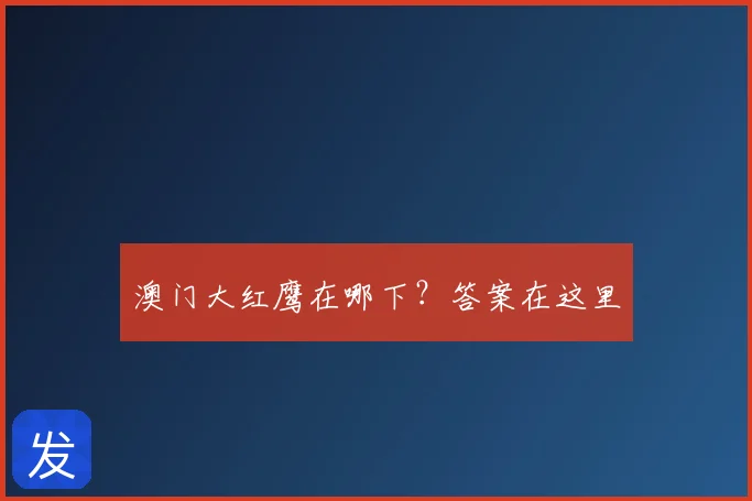 澳门大红鹰在哪下？答案在这里